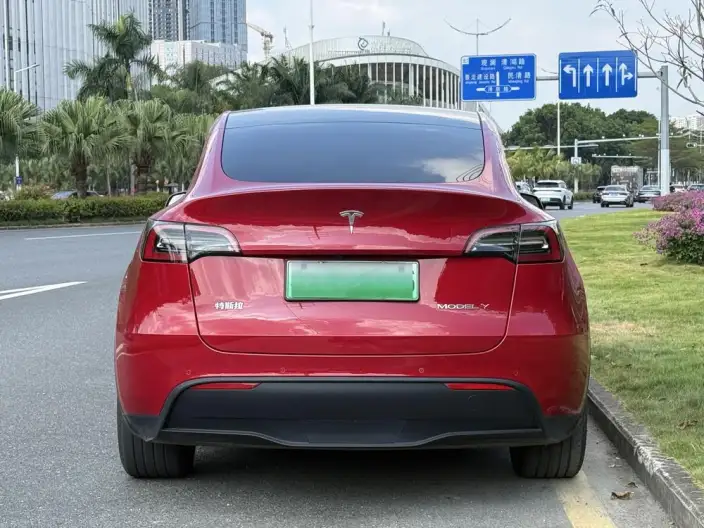 Model Y 2021 Model Standard Battery Life Rear-wheel drive version – фото 5