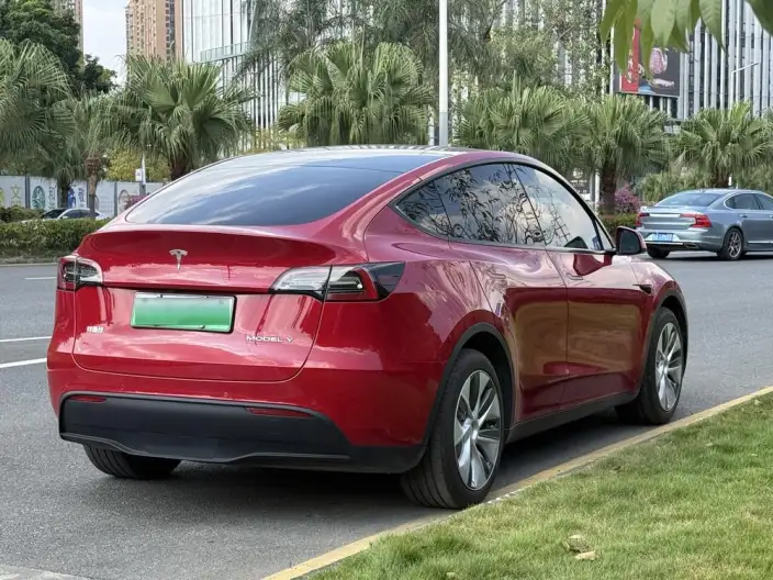 Model Y 2021 Model Standard Battery Life Rear-wheel drive version – фото 6