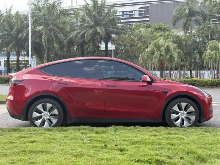 Model Y 2021 Model Standard Battery Life Rear-wheel drive version – фото 7