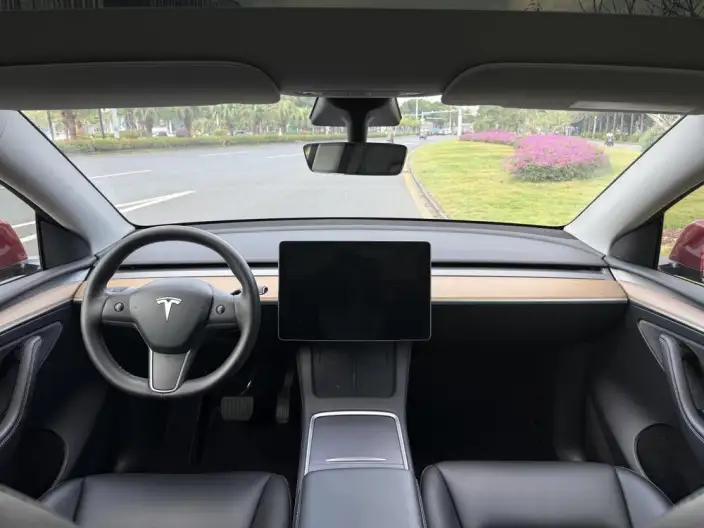 Model Y 2021 Model Standard Battery Life Rear-wheel drive version – фото 9