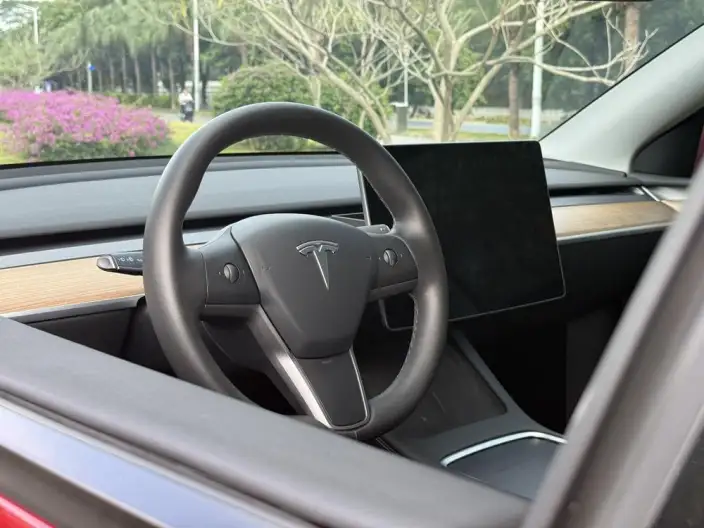 Model Y 2021 Model Standard Battery Life Rear-wheel drive version – фото 10