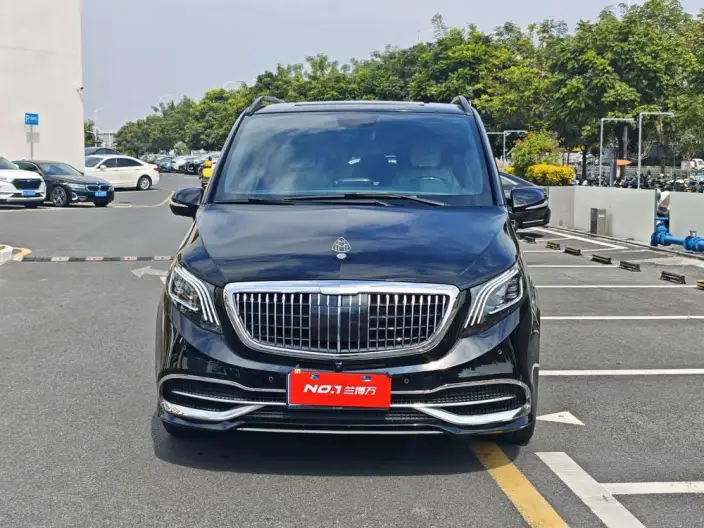 Viano 2021 Model 2.0T Business Edition 9 seat – фото 2