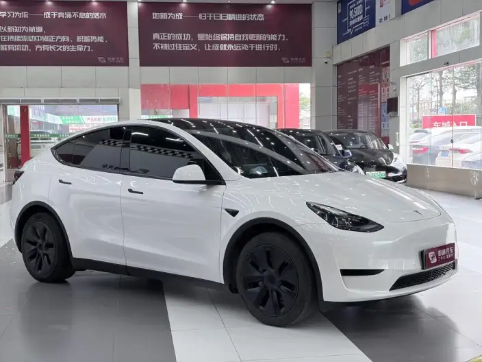 Model Y 2023 Model Rear-wheel drive version – фото 3