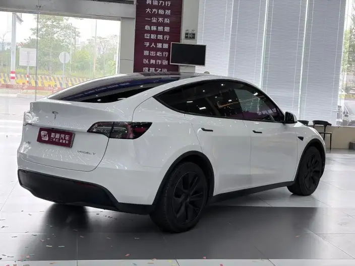 Model Y 2023 Model Rear-wheel drive version – фото 6