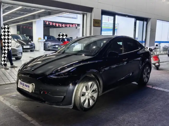 Model Y 2022 Model Rear-wheel drive version – фото 1