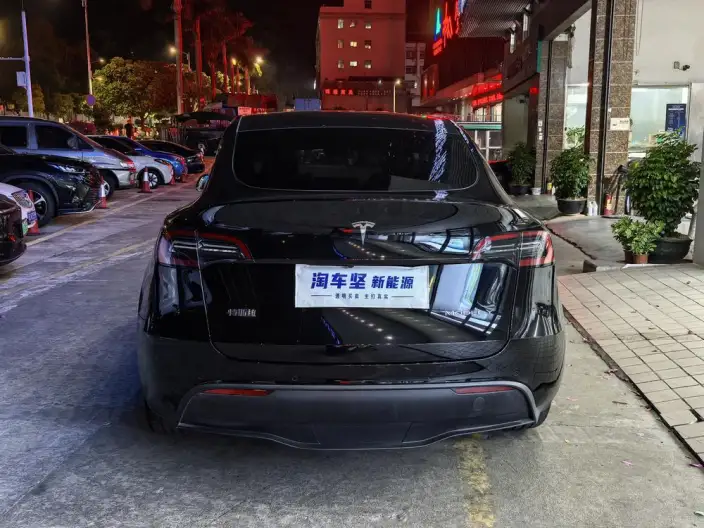 Model Y 2022 Model Rear-wheel drive version – фото 5