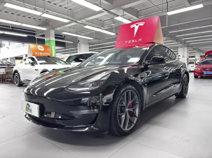 Model 3 2022 Model Performance High performance All-wheel drive version – фото 1