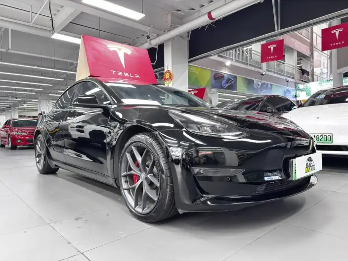 Model 3 2022 Model Performance High performance All-wheel drive version – фото 3