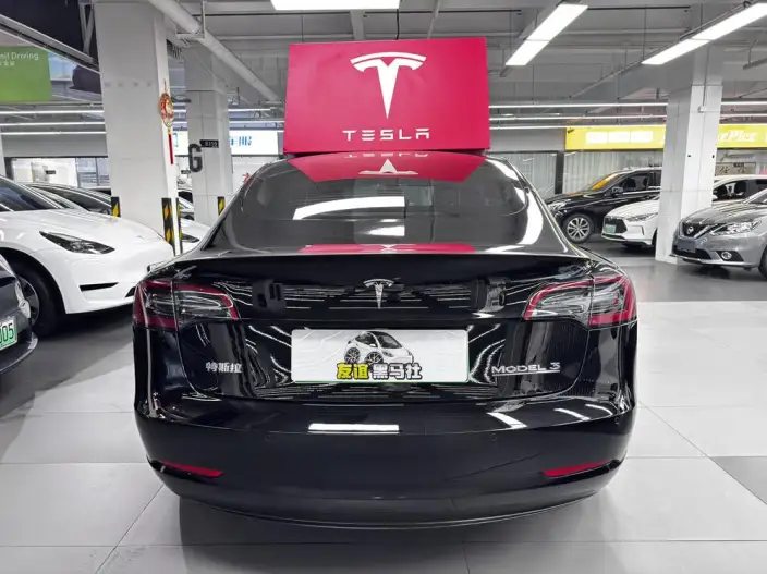 Model 3 2022 Model Performance High performance All-wheel drive version – фото 5