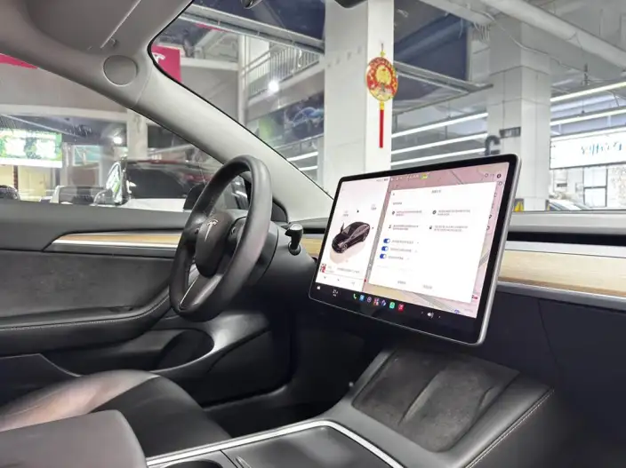 Model 3 2022 Model Performance High performance All-wheel drive version – фото 9