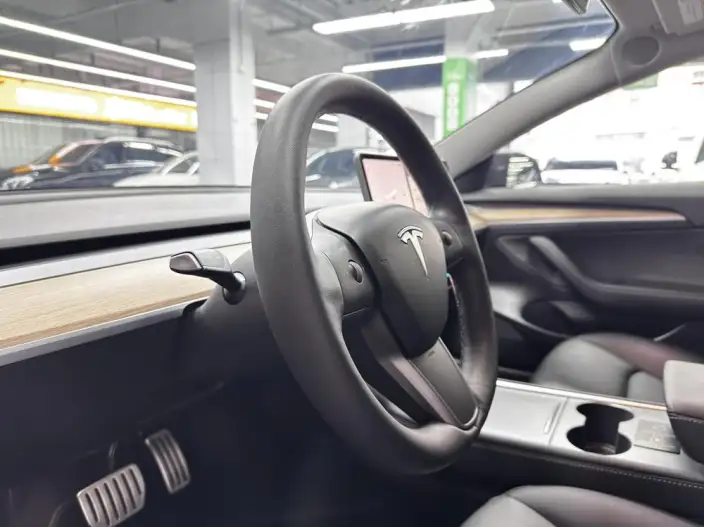 Model 3 2022 Model Performance High performance All-wheel drive version – фото 10