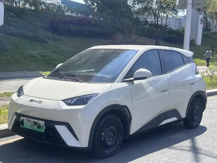 BYD Seagull 2023 Model Vitality Edition – фото 1