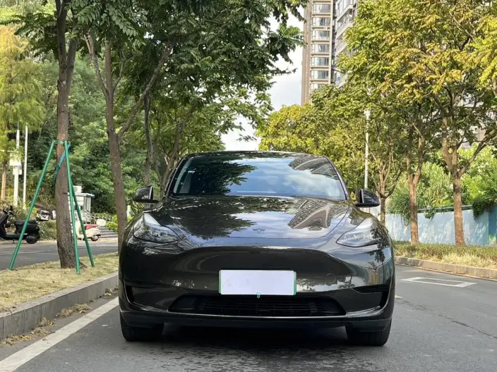 Model Y 2022 Model Facelift Rear-wheel drive version – фото 2