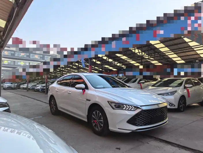 BYD Qin PLUS DM 2024 Model Honor Edition DM-i 55KM Leading Model – фото 3