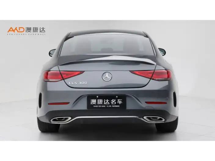 Mercedes-Benz CLS 2021 Model CLS 300 Luxury Model – фото 3