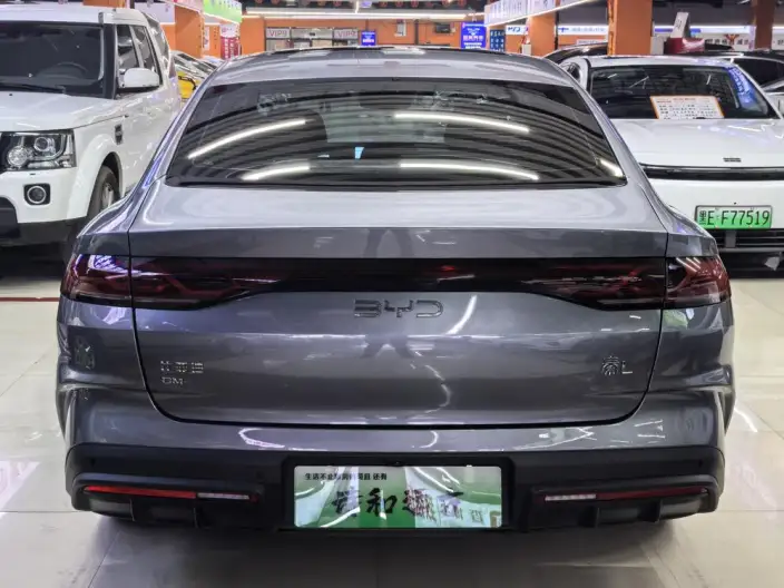 QinL DM 2024 Model DM-i 120KM Leading Model – фото 5