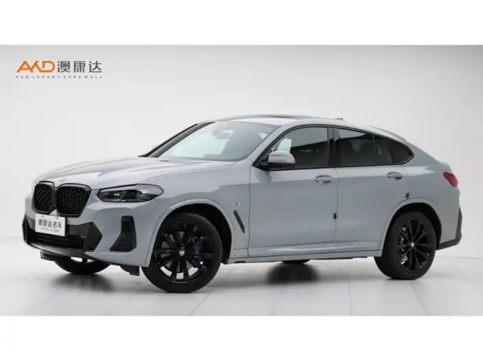 BMW X4 2022 Model Facelift xDrive 30i M Sports Night Set – фото 1