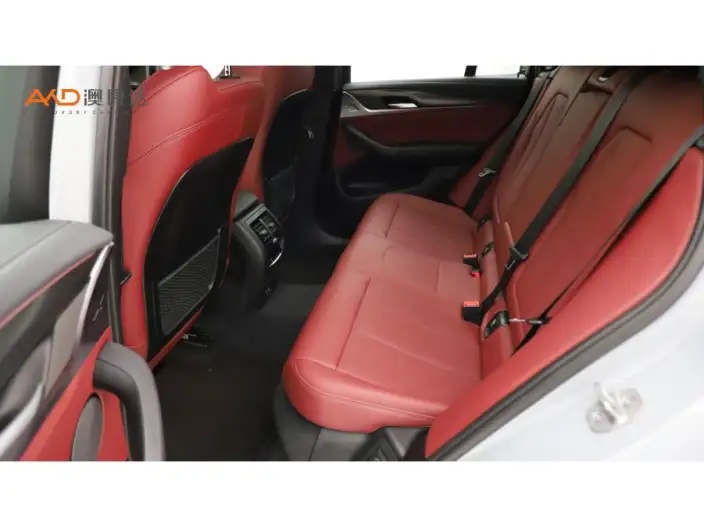 BMW X4 2022 Model Facelift xDrive 30i M Sports Night Set – фото 10