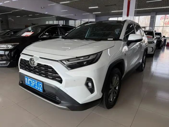 Toyota RAV4 2023 Model 2.0L CVT 2WD 20th Anniversary Platinum Memorial Edition – фото 1