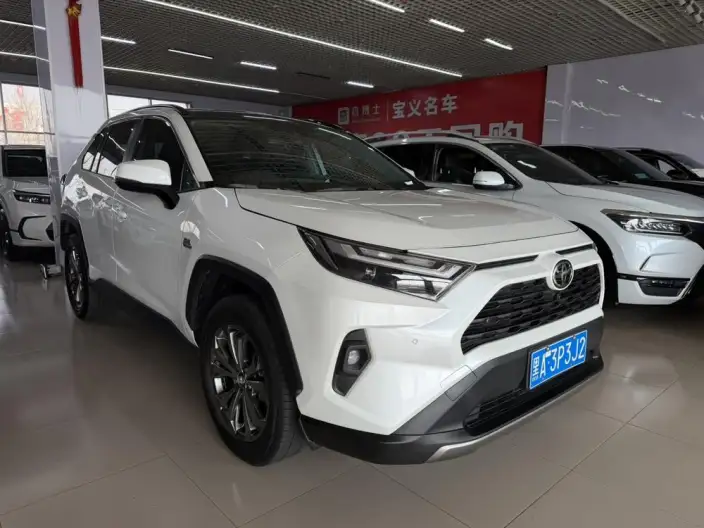 Toyota RAV4 2023 Model 2.0L CVT 2WD 20th Anniversary Platinum Memorial Edition – фото 3