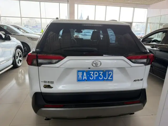 Toyota RAV4 2023 Model 2.0L CVT 2WD 20th Anniversary Platinum Memorial Edition – фото 5