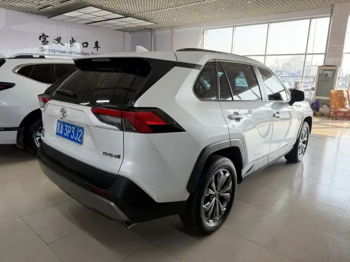 Toyota RAV4 2023 Model 2.0L CVT 2WD 20th Anniversary Platinum Memorial Edition – фото 6
