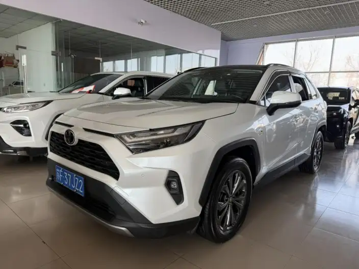 Toyota RAV4 2023 Model 2.0L CVT 2WD 20th Anniversary Platinum Memorial Edition – фото 1