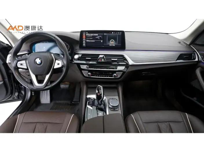 BMW 5 Series 2022 Model Facelift 530Li Leading Model Luxury Set – фото 6