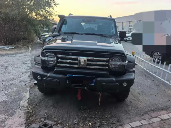 Tank 300 2022 Model 2.0T TANK Youxia Motors – фото 2