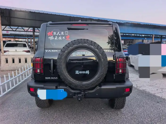 Tank 300 2022 Model 2.0T TANK Youxia Motors – фото 5