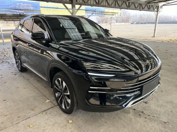 BYD Song PLUS DM 2025 Model DM-i 160KM Flagship Model – фото 3
