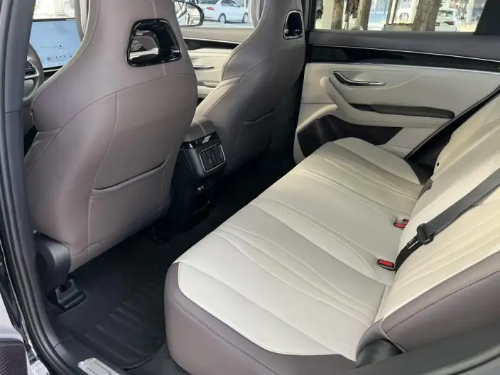 BYD Song PLUS DM 2025 Model DM-i 160KM Flagship Model – фото 10