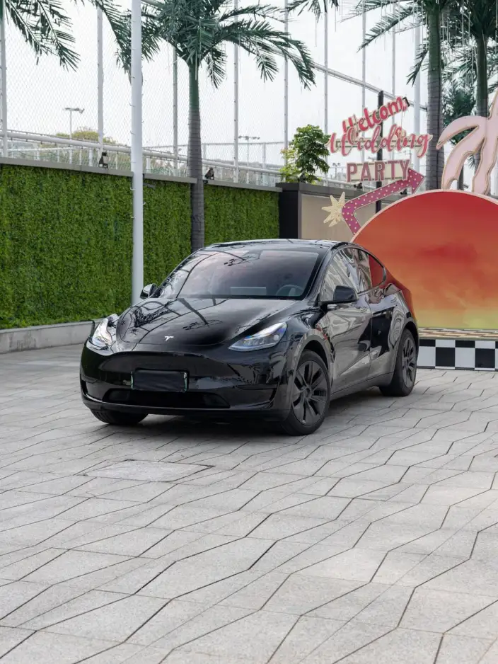 Model Y 2023 Model Rear-wheel drive version – фото 1