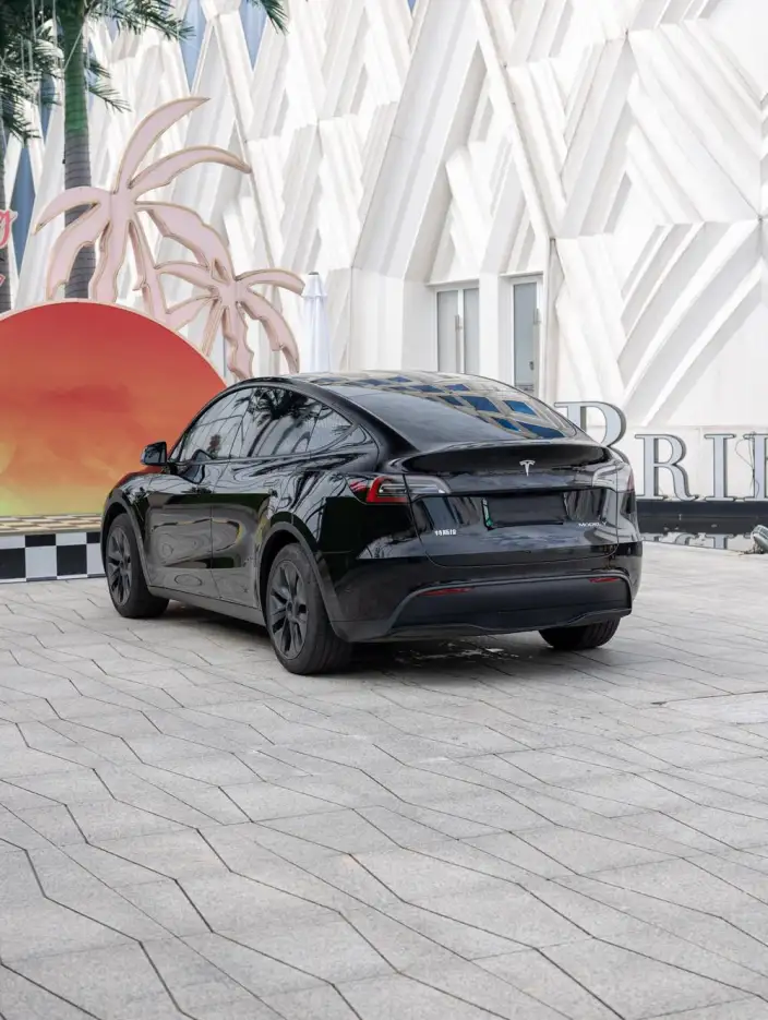 Model Y 2023 Model Rear-wheel drive version – фото 5