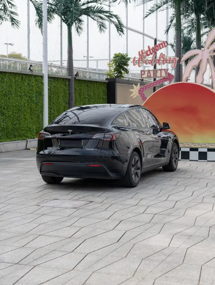 Model Y 2023 Model Rear-wheel drive version – фото 7