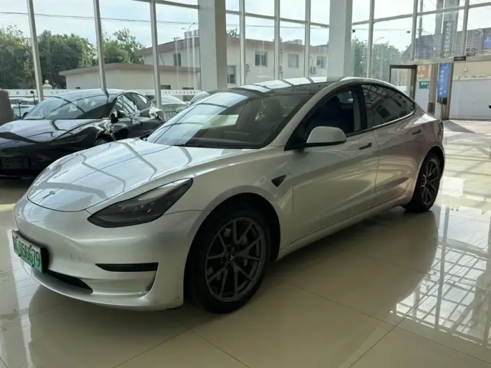 Model 3 2022 Model Rear-wheel drive version – фото 1
