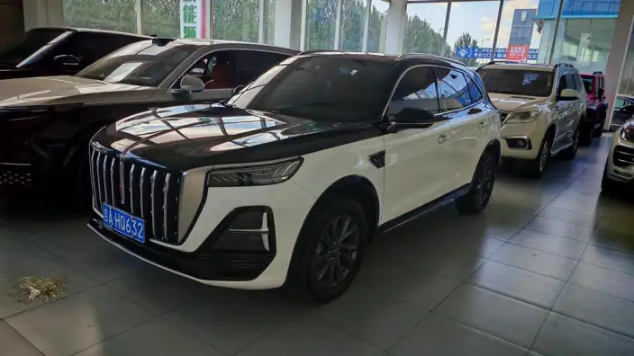 Hongqi HS5 2023 Model 2.0T Flag Ling Pro Edition