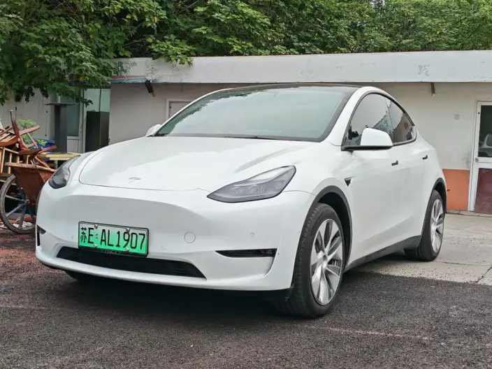 Model Y 2023 Model Long Battery Life Pro All-wheel drive version – фото 1