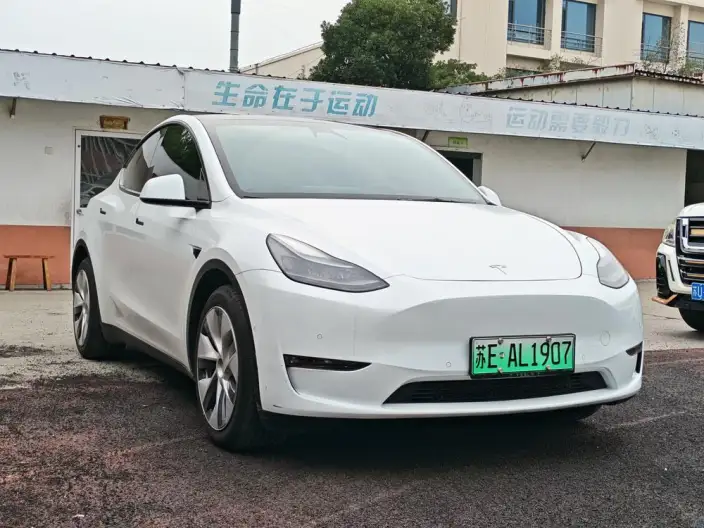 Model Y 2023 Model Long Battery Life Pro All-wheel drive version – фото 3