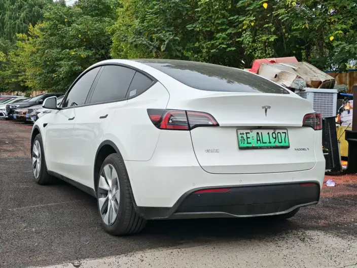 Model Y 2023 Model Long Battery Life Pro All-wheel drive version – фото 4