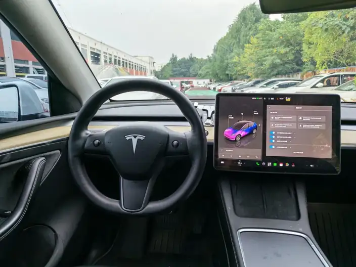 Model Y 2023 Model Long Battery Life Pro All-wheel drive version – фото 8