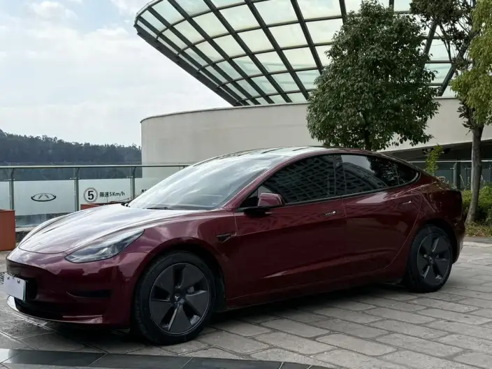 Model 3 2022 Model Rear-wheel drive version – фото 1