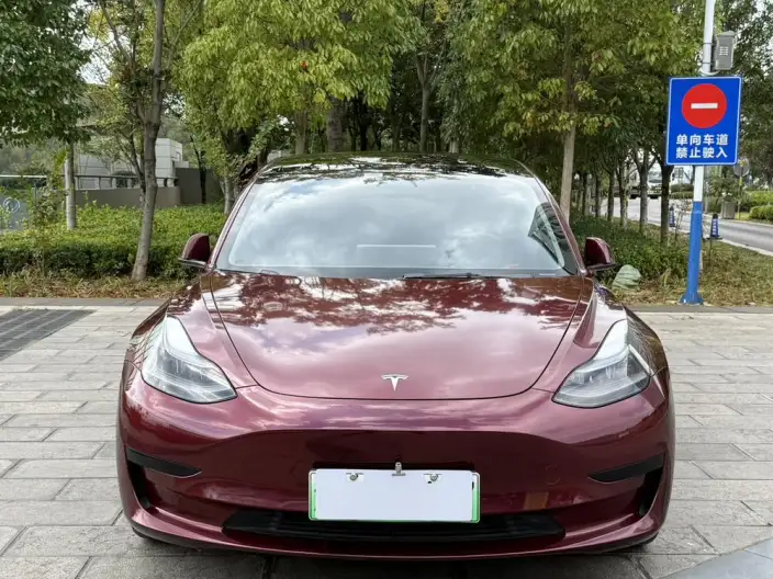 Model 3 2022 Model Rear-wheel drive version – фото 2