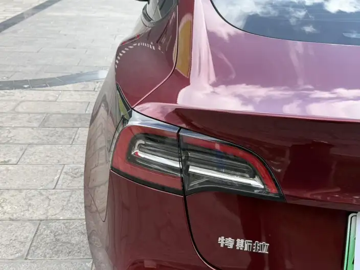 Model 3 2022 Model Rear-wheel drive version – фото 8