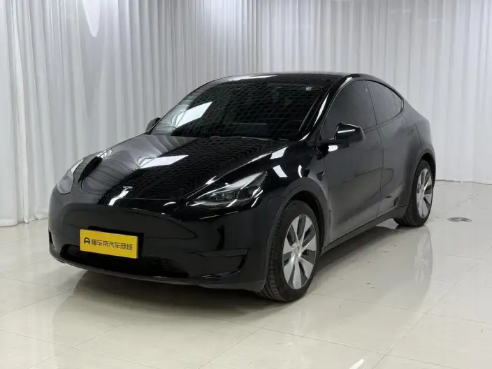 Model Y 2022 Model Rear-wheel drive version – фото 1