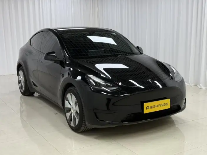 Model Y 2022 Model Rear-wheel drive version – фото 3