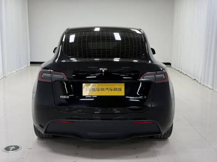 Model Y 2022 Model Rear-wheel drive version – фото 6