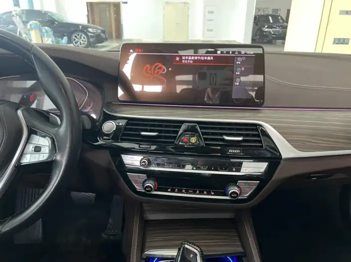 BMW 5 Series 2022 Model Facelift II 530Li Leading Model Luxury Set – фото 10