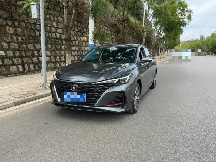 Changan Eado 2023 Model PLUS Changxiang Edition Blue whale NE 1.4T GDI DCT Noble Model