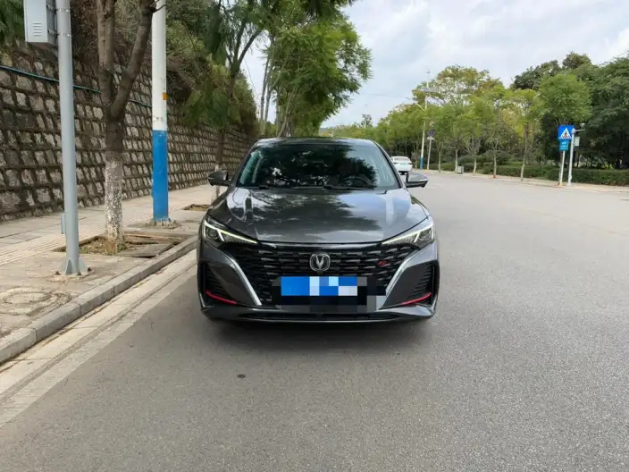 Changan Eado 2023 Model PLUS Changxiang Edition Blue whale NE 1.4T GDI DCT Noble Model